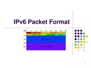 IPv6 Packet Format