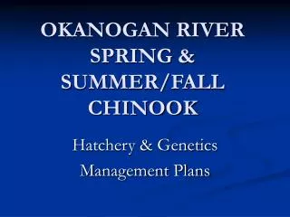 OKANOGAN RIVER SPRING &amp; SUMMER/FALL CHINOOK