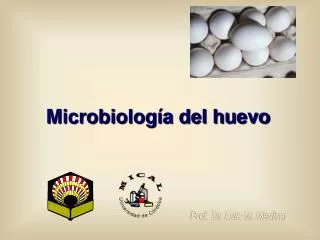 Microbiología del huevo