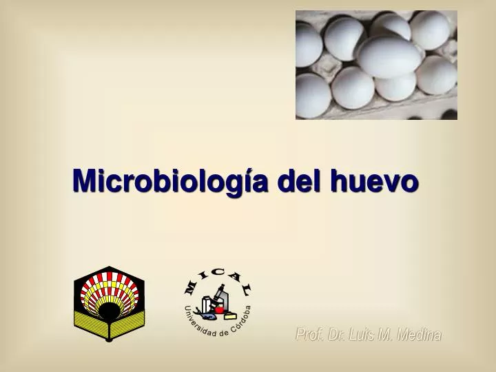 microbiolog a del huevo