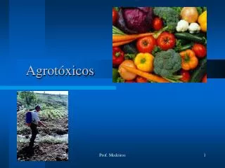 agrot xicos