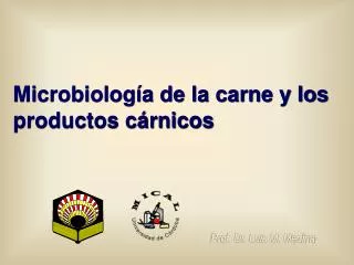 Microbiología de la carne y los productos cárnicos