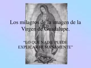 Los milagros de la imagen de la Virgen de Guadalupe.