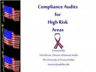 Compliance Audits for High Risk Areas