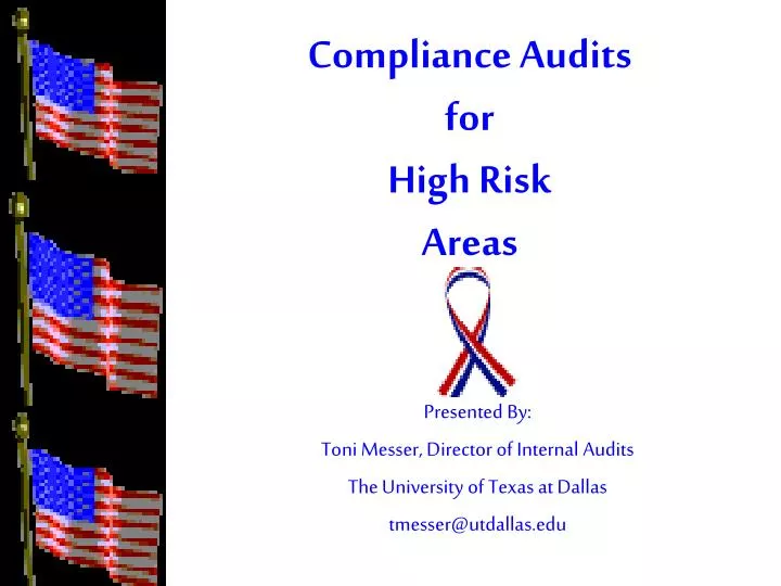 compliance audits for high risk areas