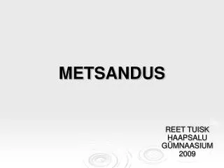 METSANDUS
