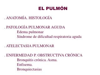 EL PULMÓN