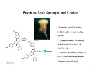 Enzymes: Basic Concepts and Kinetics