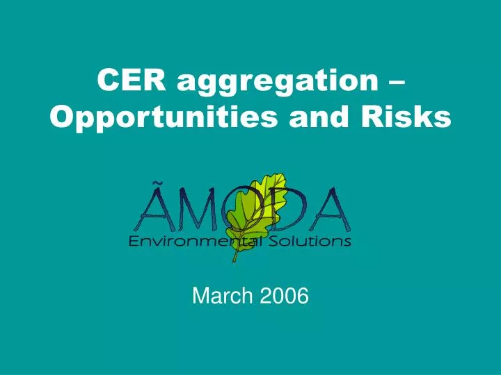 cer aggregation opportunities and risks