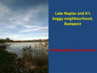 Lake Naplas and it’s boggy neighbourhood , Budapest