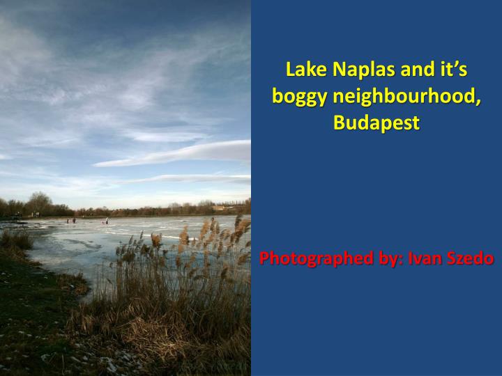 lake naplas and it s boggy neighbourhood budapest