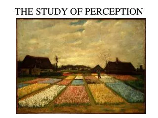 THE STUDY OF PERCEPTION