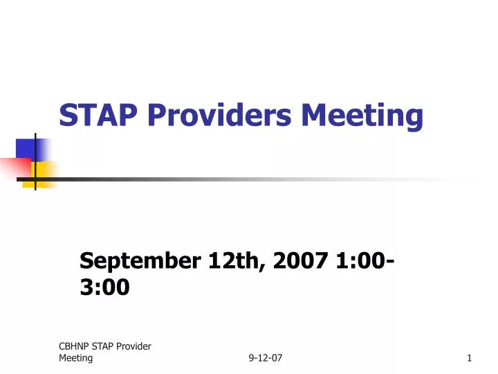 stap providers meeting