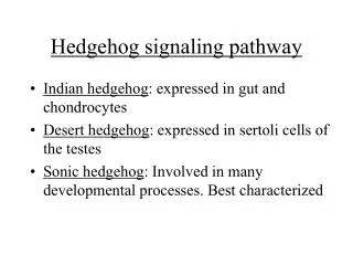 Hedgehog signaling pathway