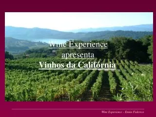 Wine Experience apresenta