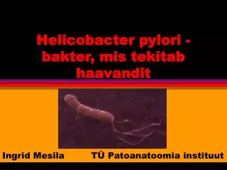 Helicobacter pylori - bakter, mis tekitab haavandit