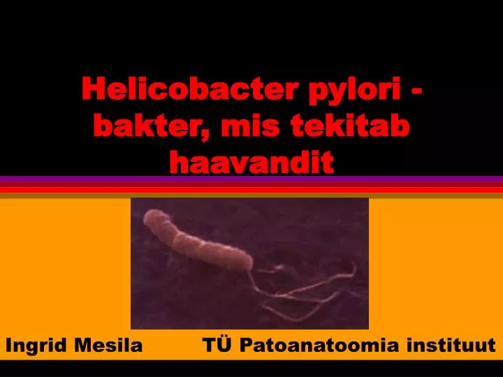 helicobacter pylori bakter mis tekitab haavandit
