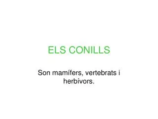 els conills