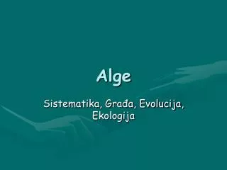 Alge