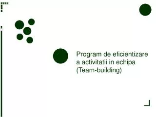 Program de eficientizare a activitatii in echipa (Team-building)