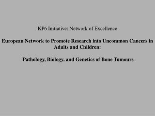 KP6 Initiative: Network of Excellence