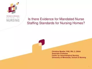 Is there Evidence for Mandated Nurse Staffing Standards for Nursing Homes?