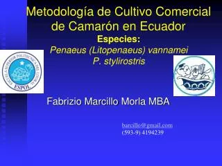 Metodología de Cultivo Comercial de Camarón en Ecuador Especies: Penaeus (Litopenaeus) vannamei P. stylirostris