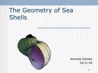 The Geometry of Sea Shells