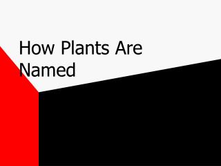 How Plants Are Named