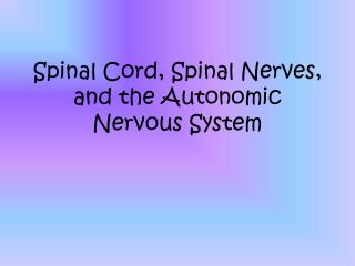 Spinal Cord, Spinal Nerves, and the Autonomic Nervous System