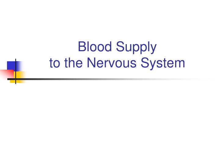 blood supply to the nervous system