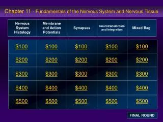 Chapter 11 - Fundamentals of the Nervous System and Nervous Tissue