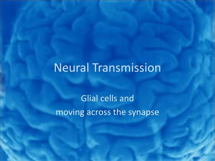 neural transmission
