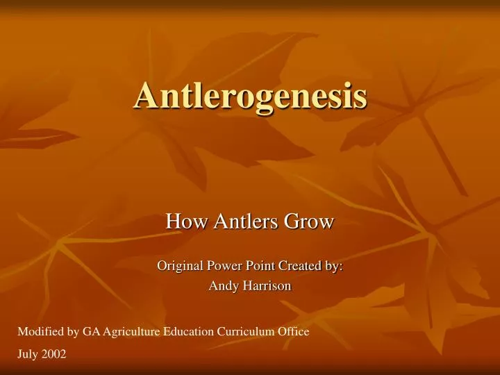 antlerogenesis