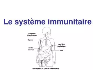 le syst me immunitaire