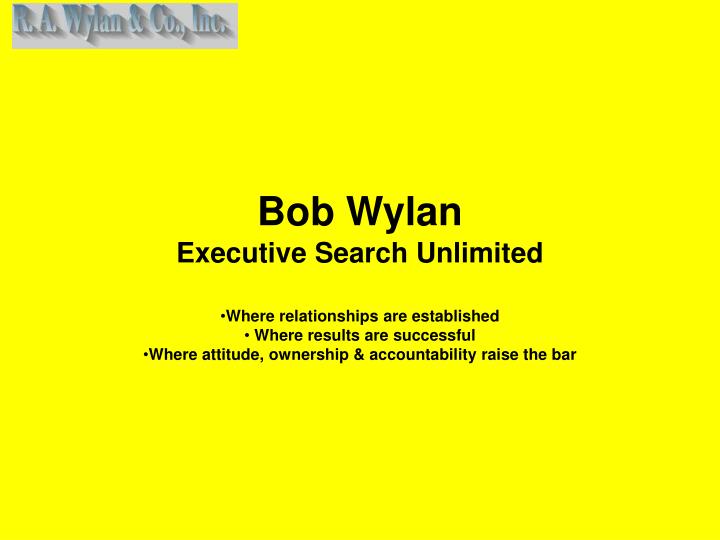bob wylan executive search unlimited