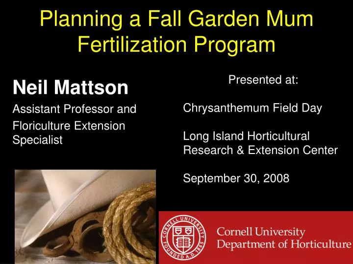 planning a fall garden mum fertilization program