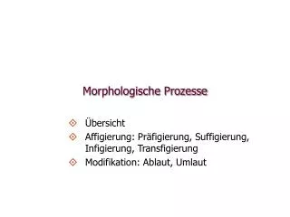 Morphologische Prozesse