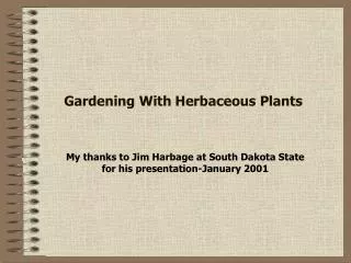 Gardening With Herbaceous Plants