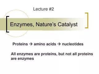 Enzymes, Nature’s Catalyst