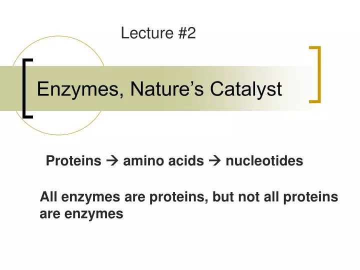 enzymes nature s catalyst