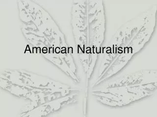 American Naturalism
