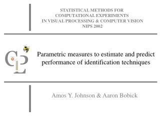Parametric measures to estimate and predict performance of identification techniques