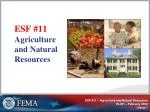 ESF #11 - slide 1
