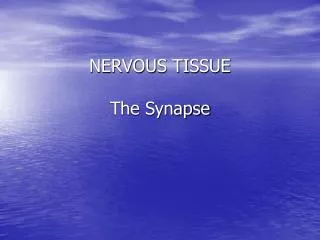 NERVOUS TISSUE The Synapse