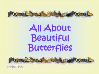 All About Beautiful Butterflies