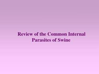 Review of the Common Internal Parasites of Swine