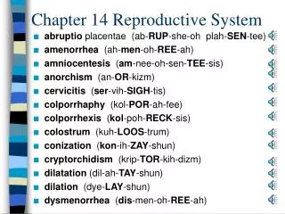 Chapter 14 Reproductive System