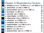 Chapter 14 Reproductive System - slide 1