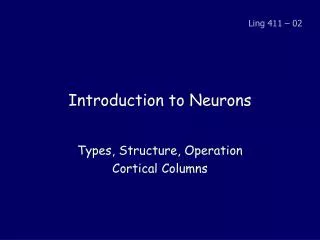 Introduction to Cortical Neurons